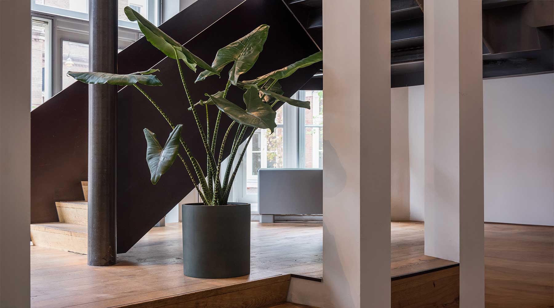 Welcome to Our Store